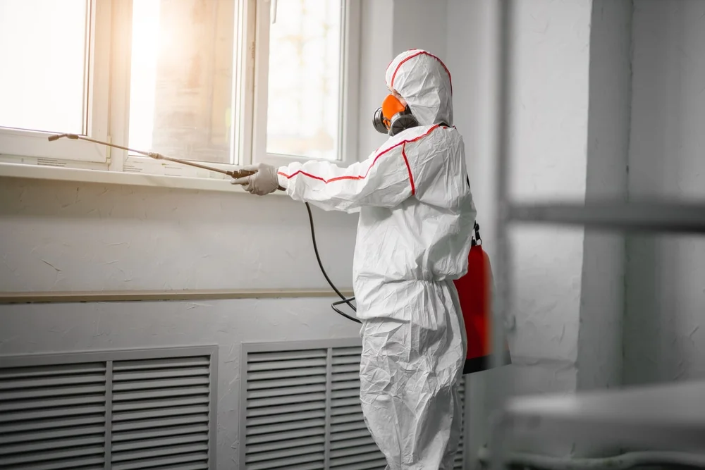 Professional mold remediation services in Leonia, NJ